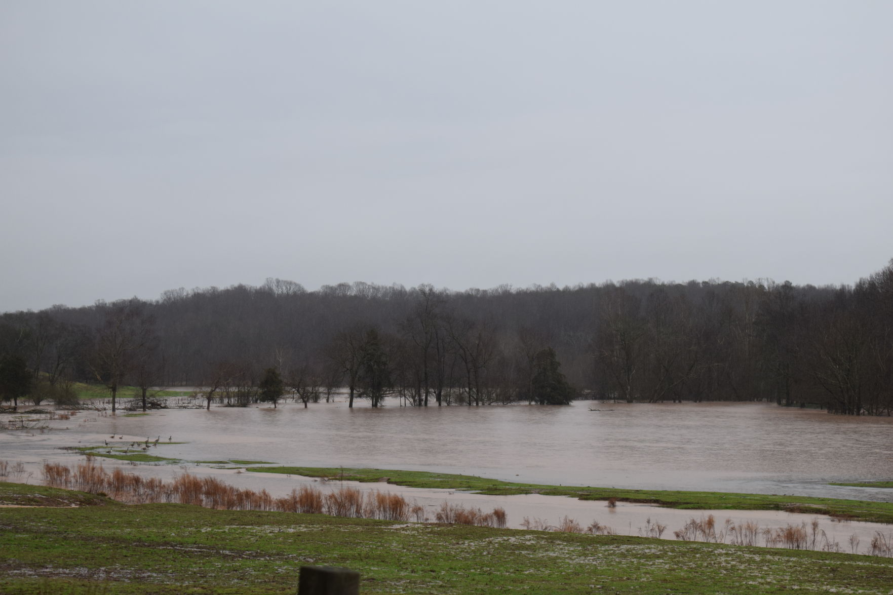 Flooding in Iredell (14).JPG